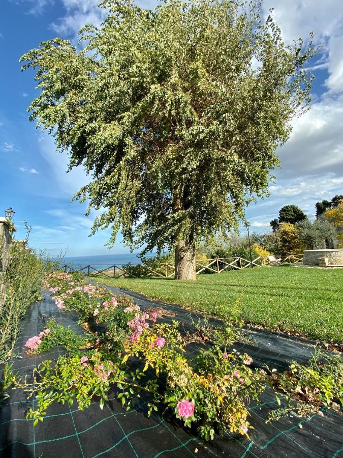 Residenza B&B Vistamare Petacciato Zewnętrze zdjęcie